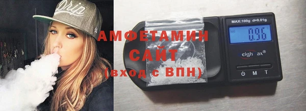 сатива Коряжма