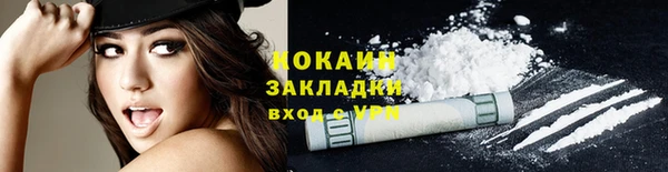 сатива Коряжма