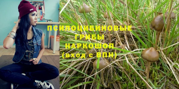хмурый Нязепетровск