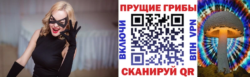 где можно купить   Козловка  Псилоцибиновые грибы мухоморы 