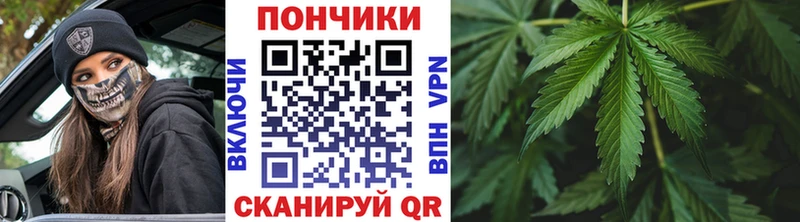 Бошки Шишки VHQ Козловка